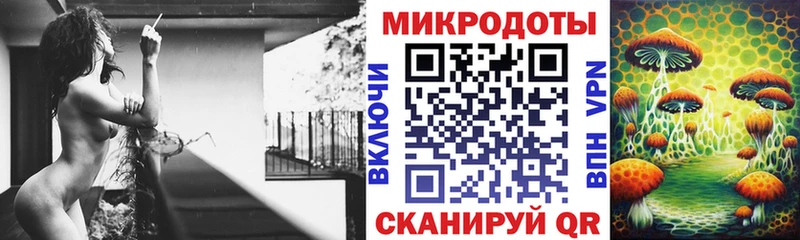 Галлюциногенные грибы Psilocybine cubensis  Верея 